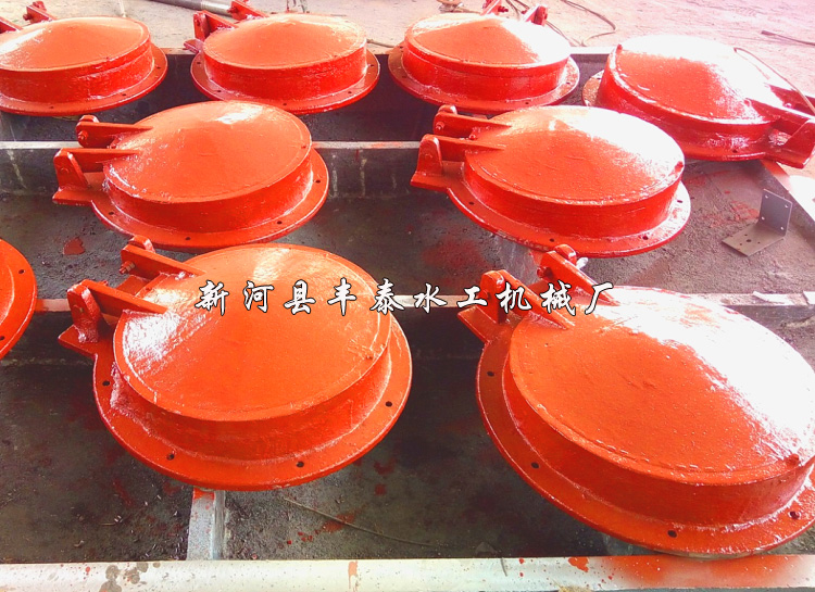 �����T�F�A���T