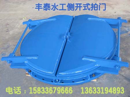 ���_ʽ���T