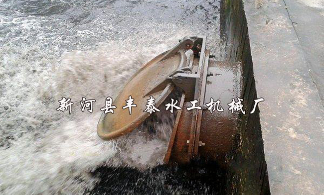 �T�F���T���b