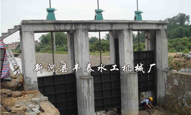 �V���J�ݸ��T�F�l�T���b�F��